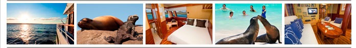 Galaven Yacht